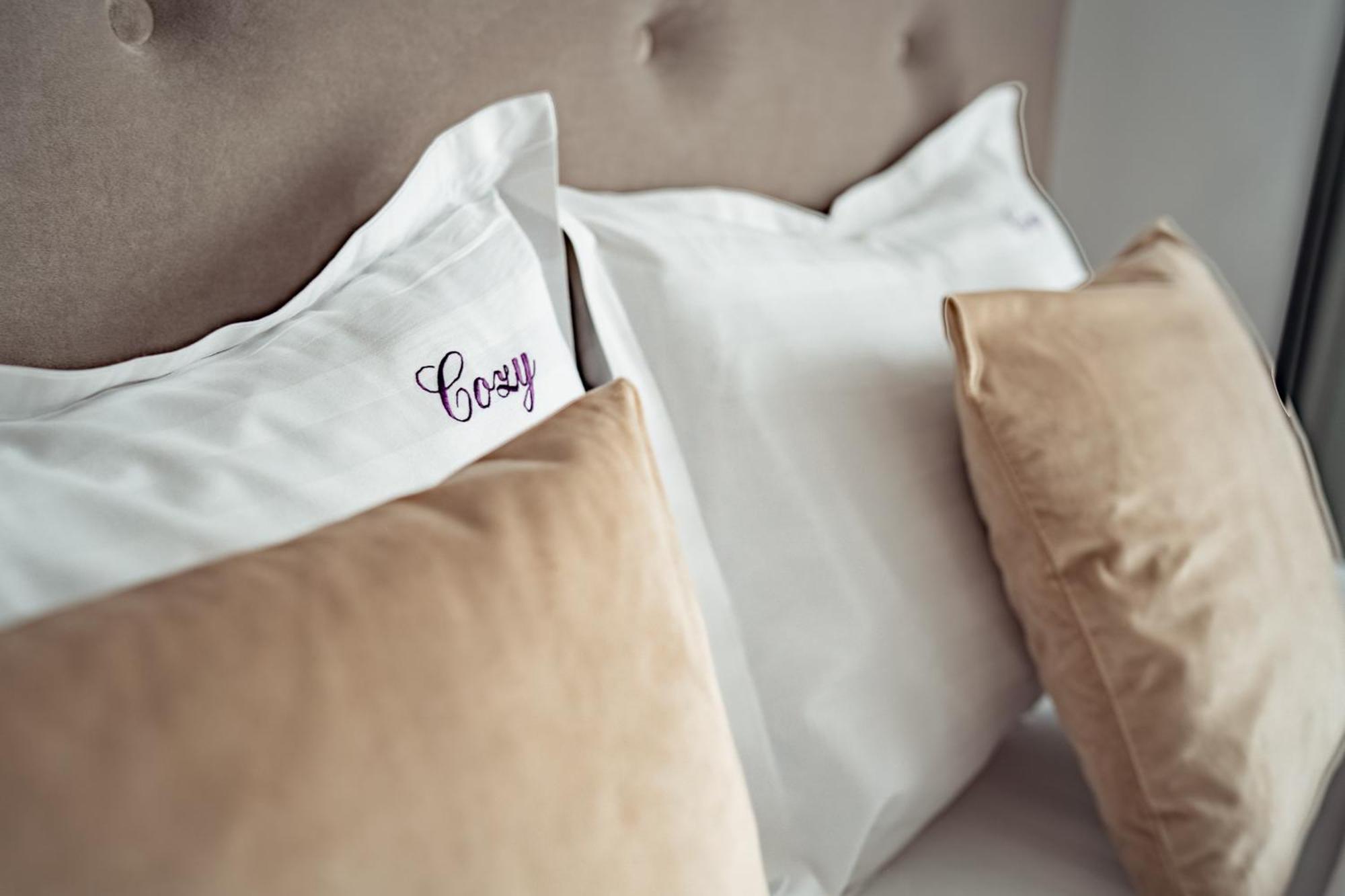 Apartment Cozy - Ultracentral Luxury Iasi